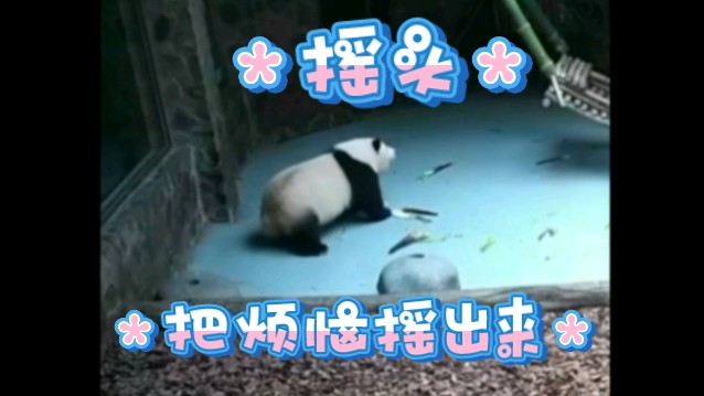 花花:摇头把烦恼摇出来