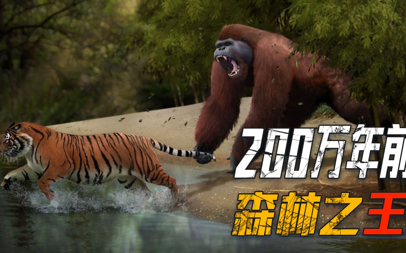 巨猿吃素的森林专家