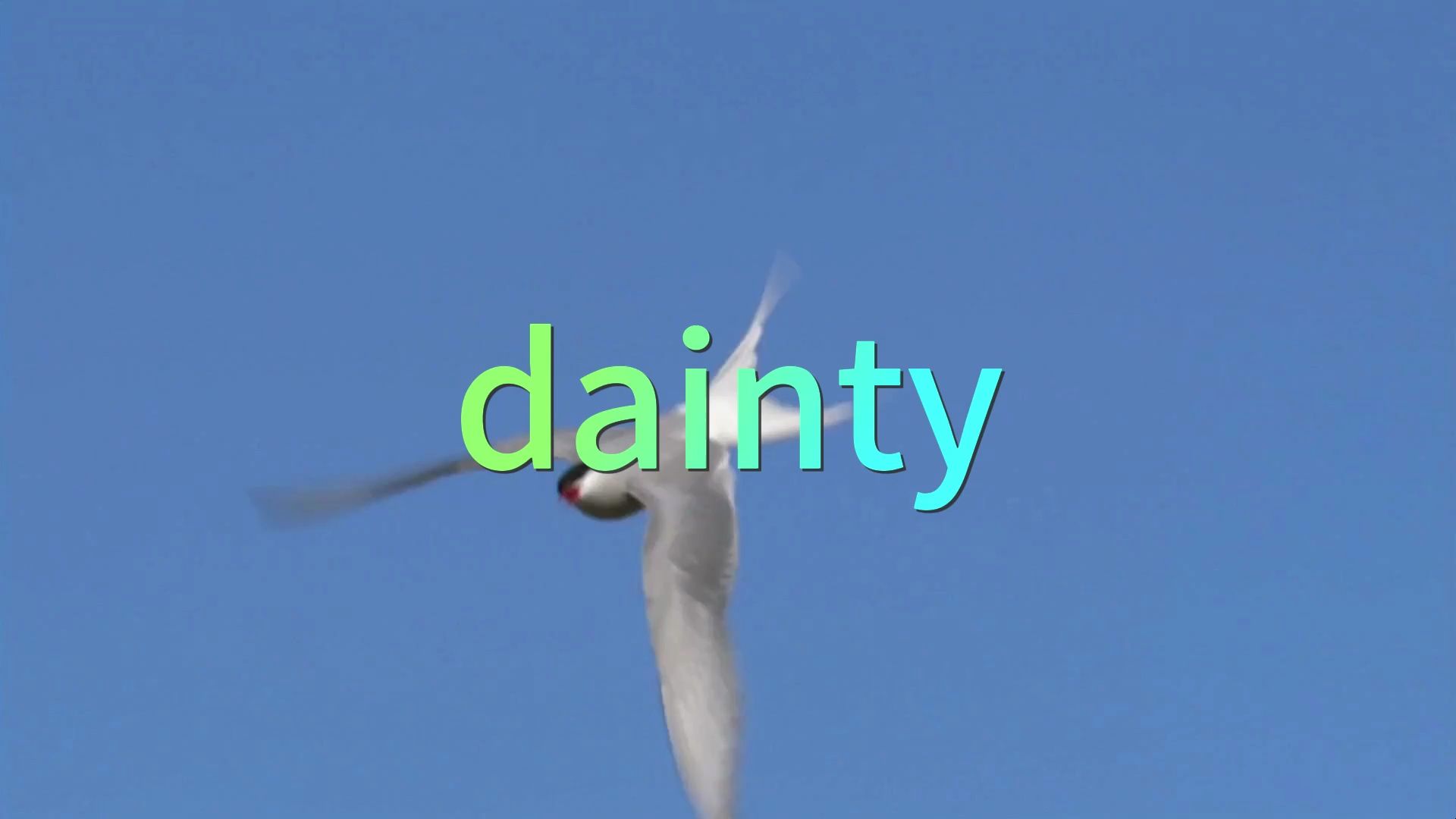 专八单词dainty哔哩哔哩bilibili