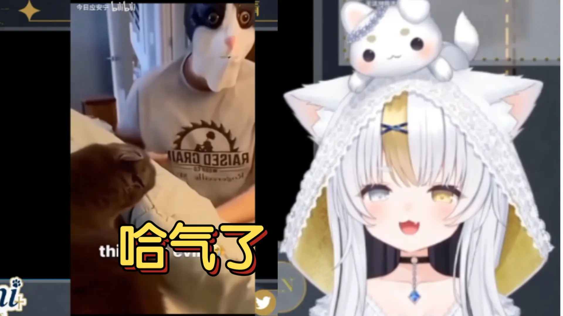 【可妮Koni】猫儿这个恐惧_哔哩哔哩_bilibili