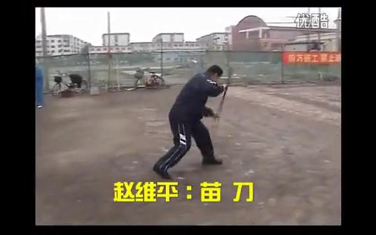 【苗刀】赵维平演练哔哩哔哩bilibili