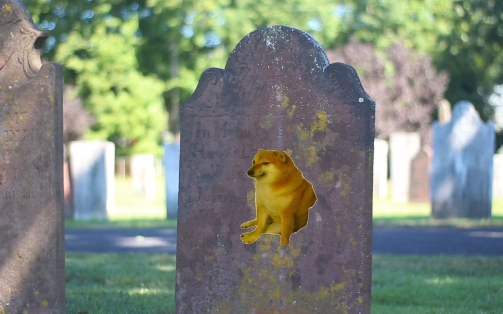 纪念cheems的西方电子墓碑