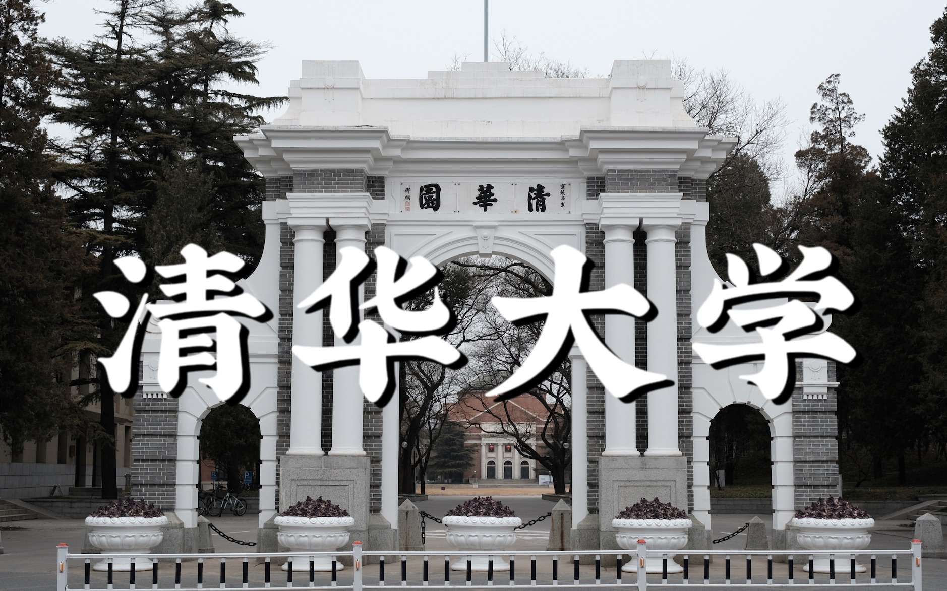 活动  清华大学