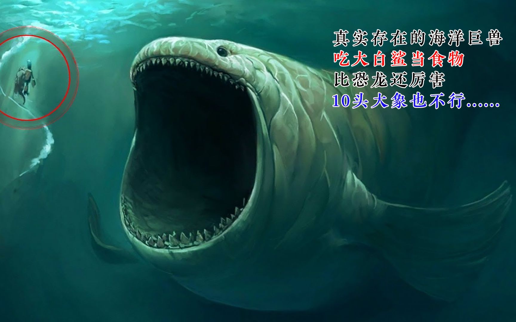 海洋5大恐怖巨兽图片图片