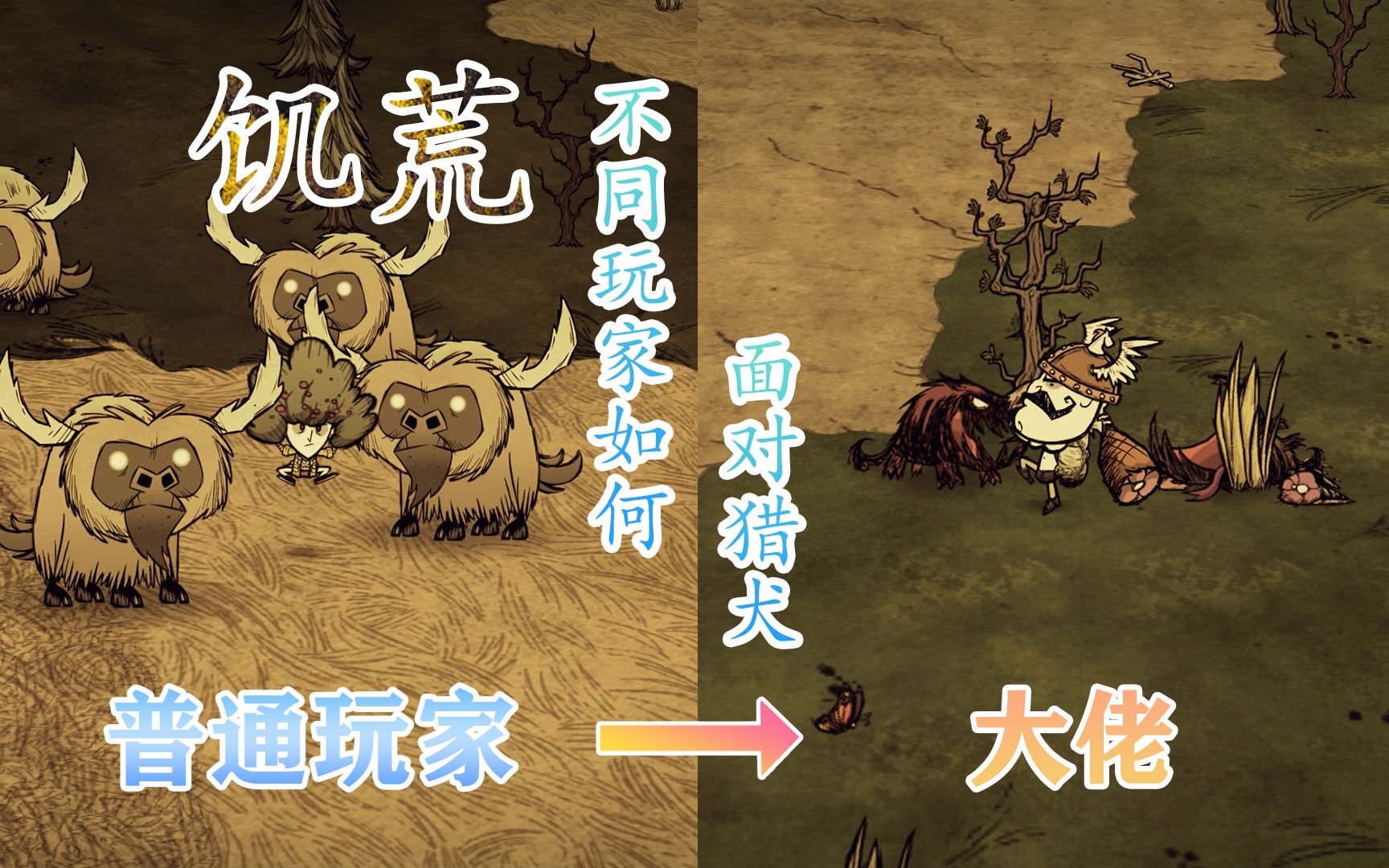 不同玩家如何面对猎犬,真实!_饥荒