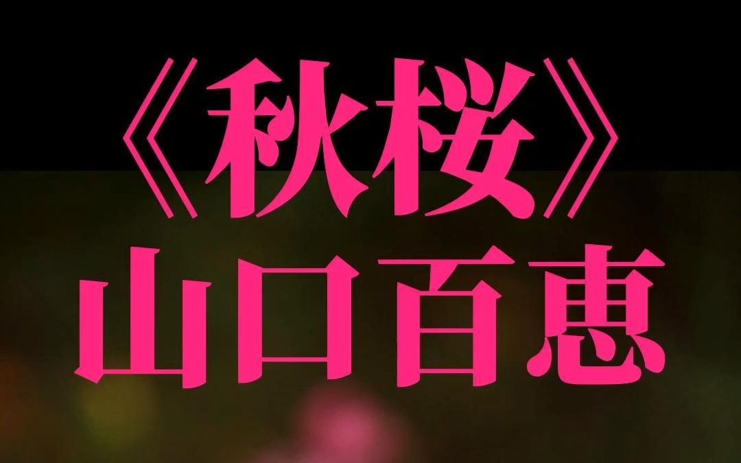 山口百惠经典歌曲《秋樱》(中日文歌词+日语音标)哔哩哔哩bilibili