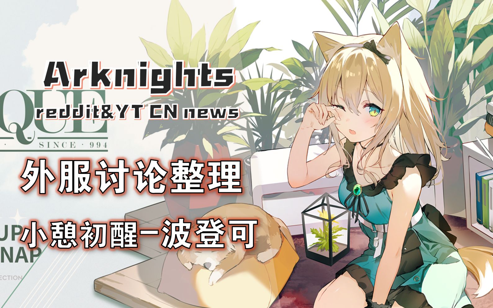 绝了! 外服讨论整理-波登可[小憩初醒]