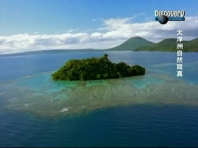 【纪录片】Discovery  大洋洲自然写真/野性澳洲(Wild Australasia)哔哩哔哩bilibili