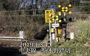 Tải video: 【日本铁道】【踏切】货物列车通过中央線駒木野踏切