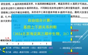 下载视频: 自由组合计算+基因上下游关系判断（2024北京海淀高三期中生物，21）