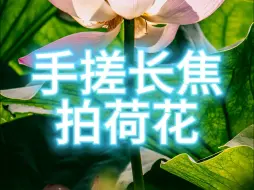 Download Video: 手搓900mm长焦拍荷花，看看咱自制镜头的样片和视频表现吧！