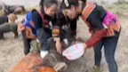 称猪小地磅不准怎么调，上海耀华地磅