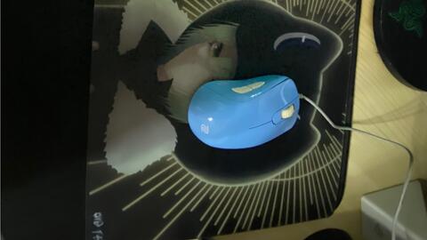 逐梦者Gamer【雷】的测评(主观测评)_网络游戏热门视频