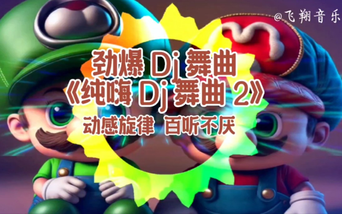 劲爆 dj 舞曲《纯嗨 dj 舞曲 2》动感旋律,百听不厌.