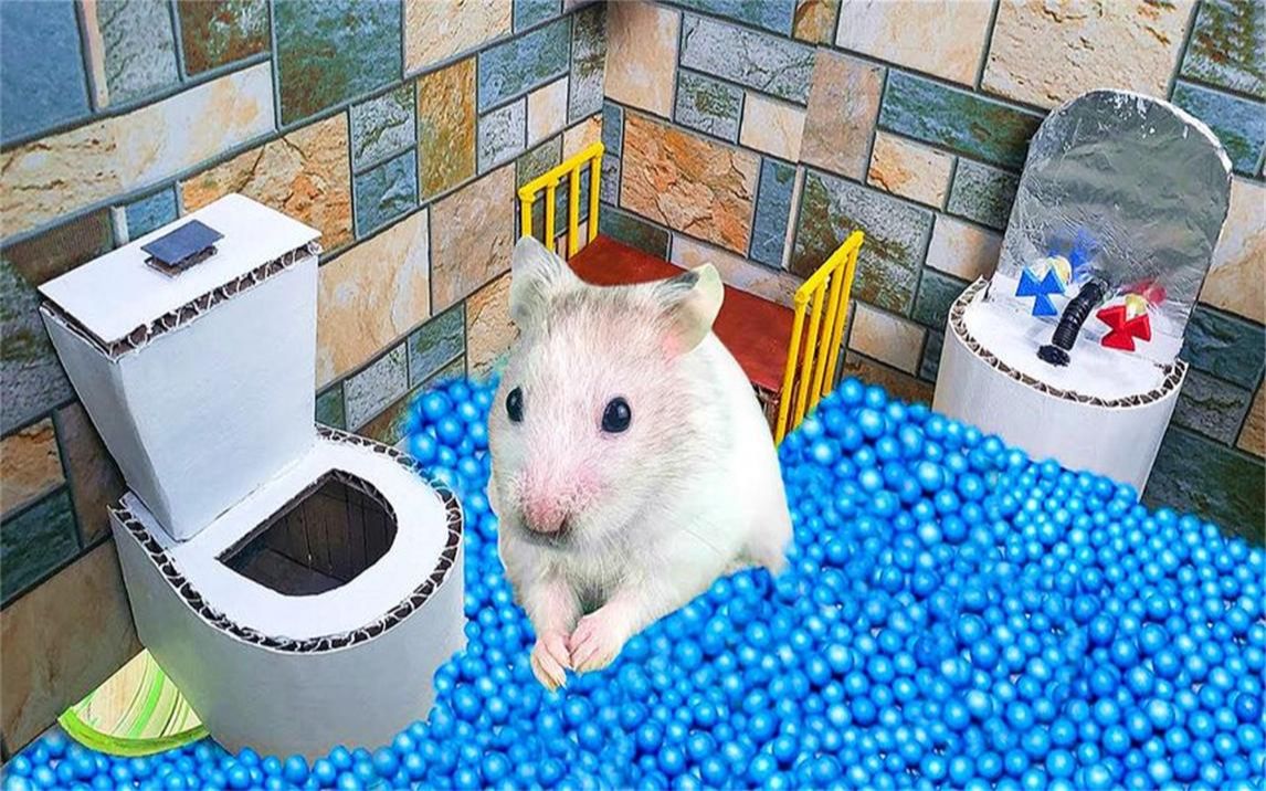 小仓鼠挑战马桶厕所机关,被困在海洋球中,它能否顺利脱困
