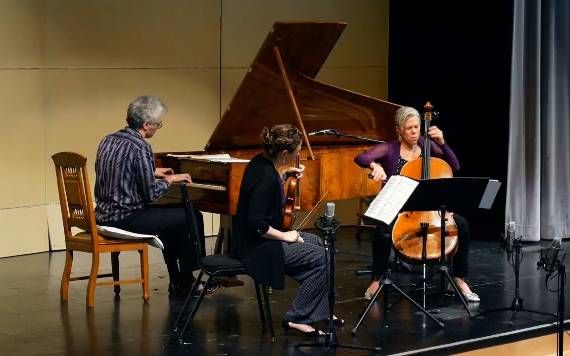 钢琴三重奏舒伯特降e大调andanteconmoto丨freivogeltomkins