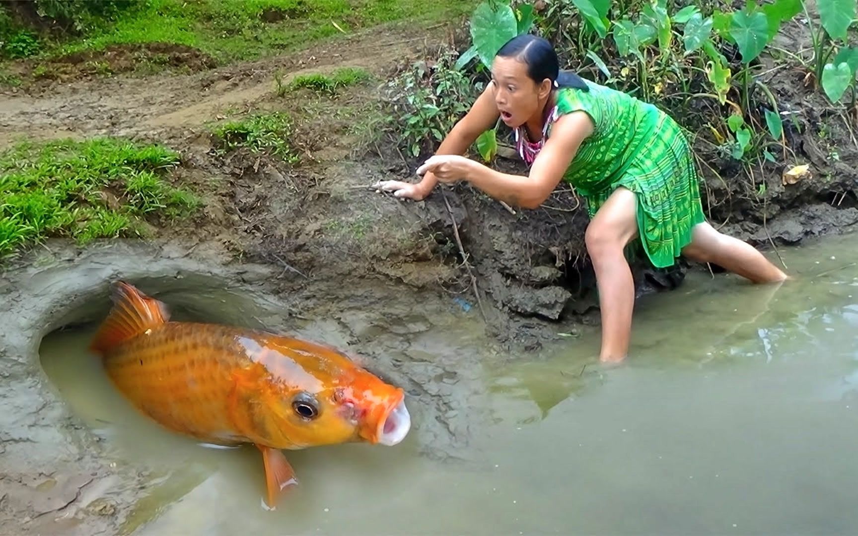 野外生存姐,原始捕鱼技巧河边挖泥洞捉鱼!