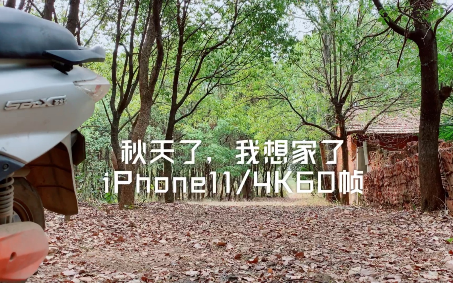 [图]iPhone11/4K60帧，这观感真的很优秀