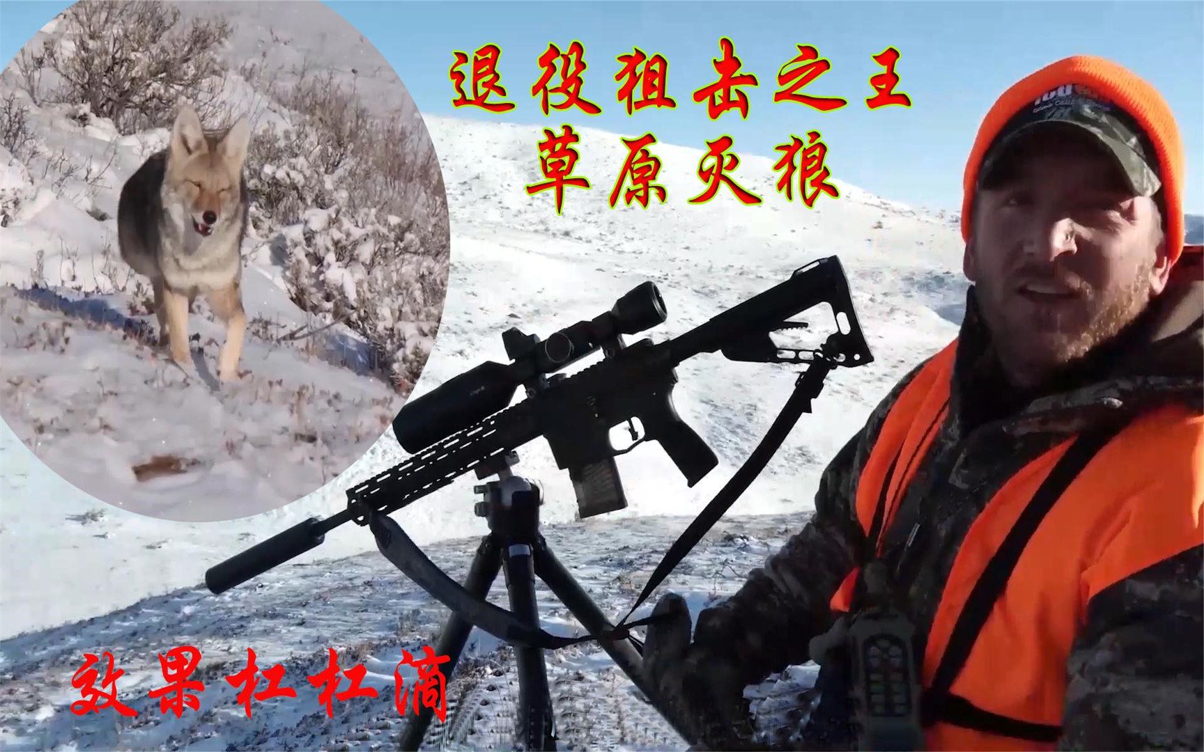 退役特种兵狙击之王草原灭狼,一枪打爆两个脑袋!神乎奇迹!