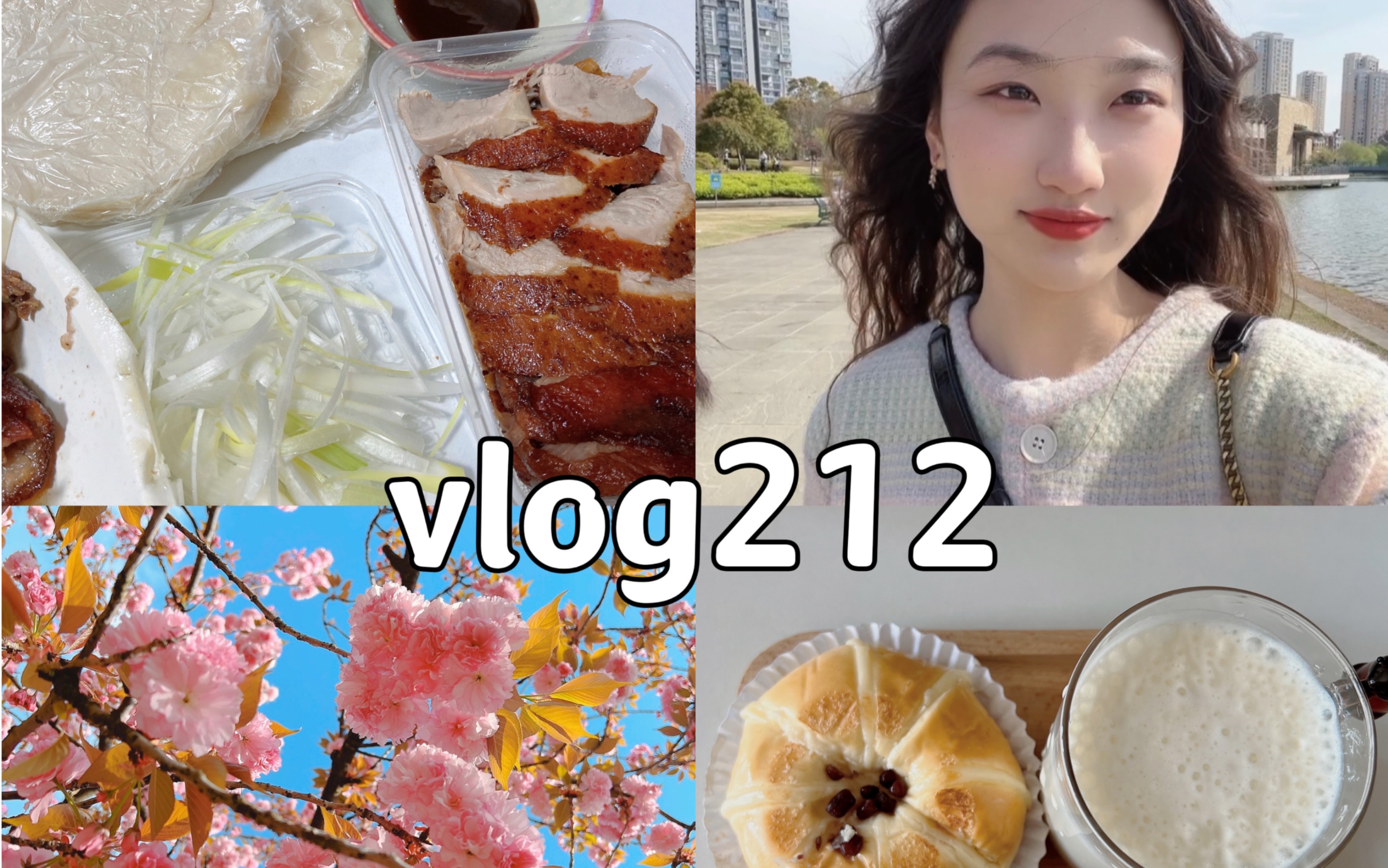 苏州打工人的小长假vlog(不完全拍摄~)哔哩哔哩bilibili