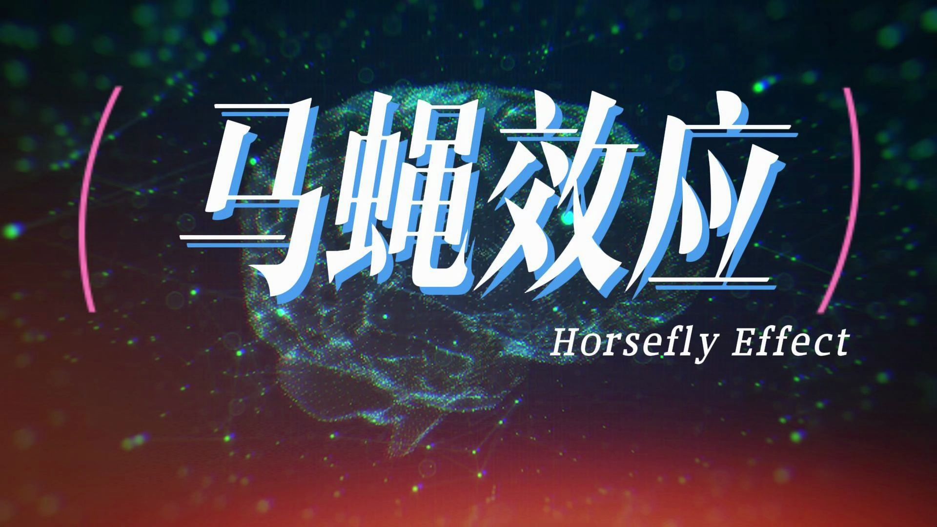 心理学现象 马蝇效应