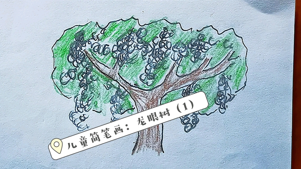儿童简笔画:龙眼树(2)