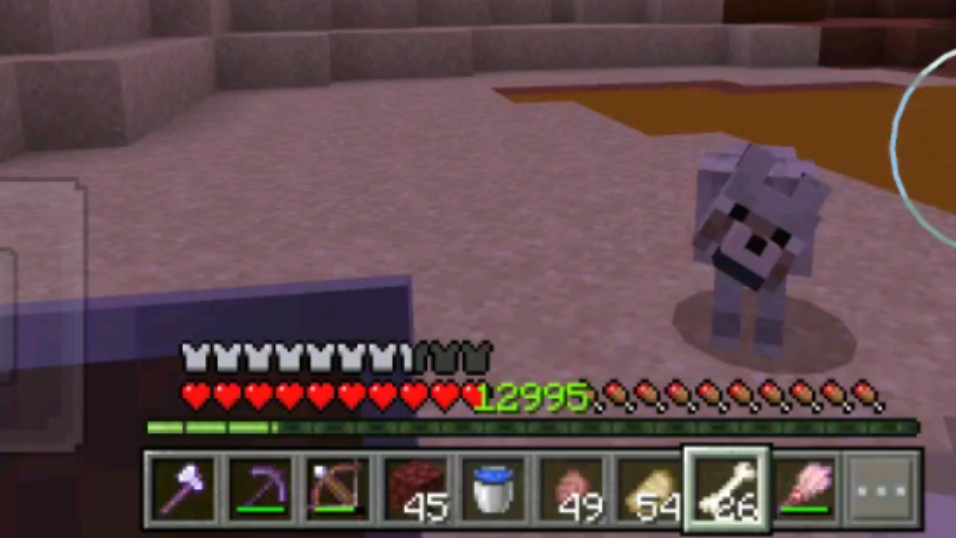 我的世界 两个不同种类狗子共同生下来的一个什么种类狗子