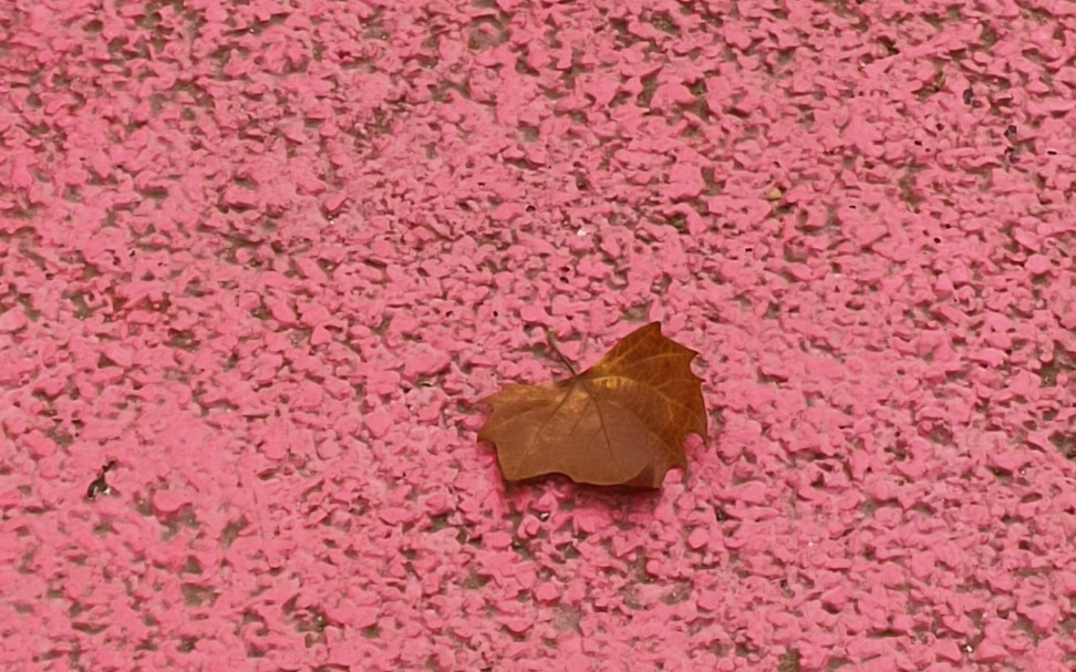 八大关游记(づ ●─● )づ