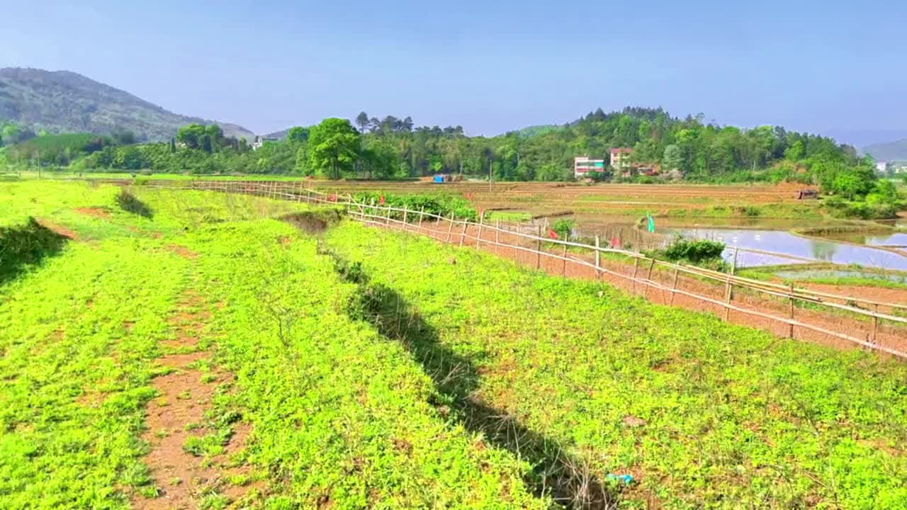 乡村田园风光视频 #随手拍带你看风景 #田园生活有多惬意 感受洗篌