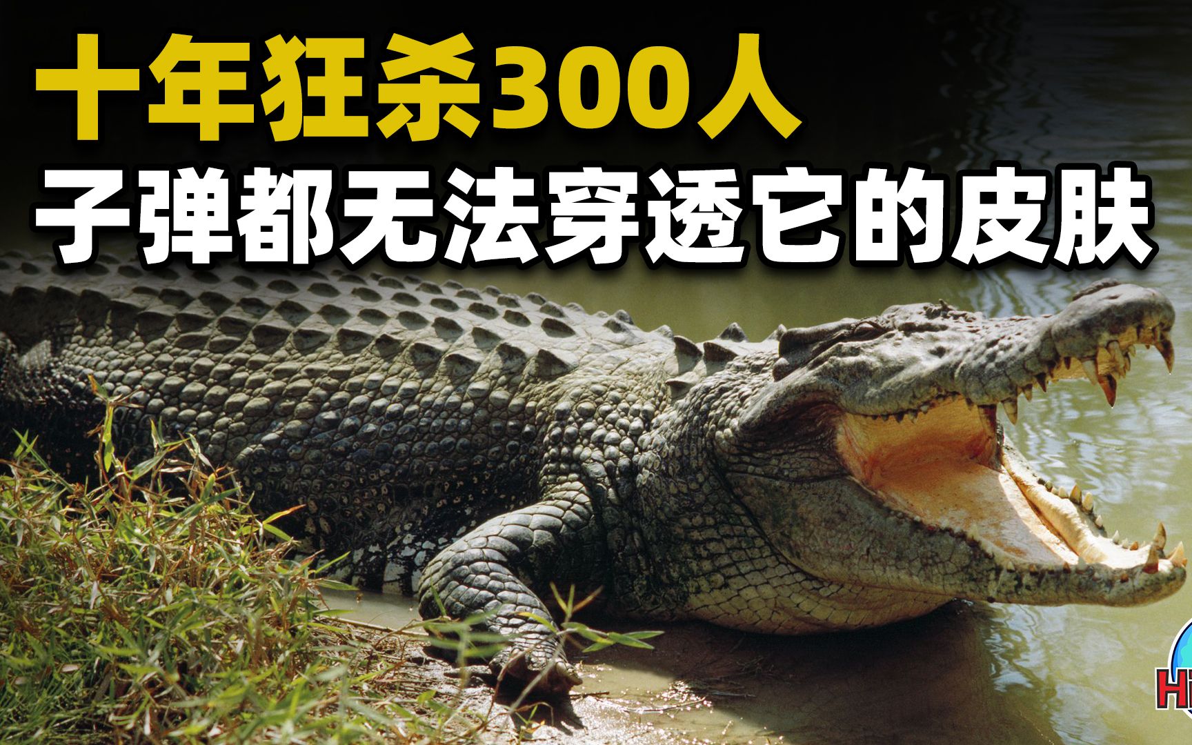 10年狂杀300人,神出鬼没的食人巨鳄:古斯塔夫,至今仍下落不明哔哩哔哩bilibili