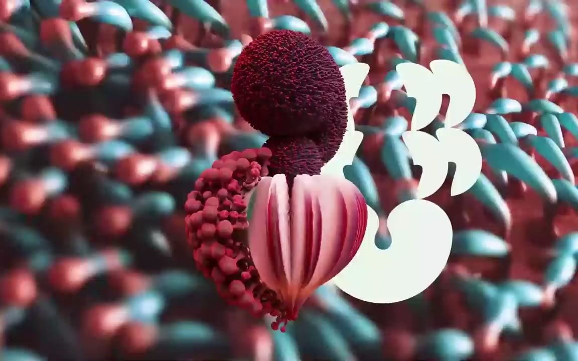 ft. shygirl : ovule (sega bodega remix)