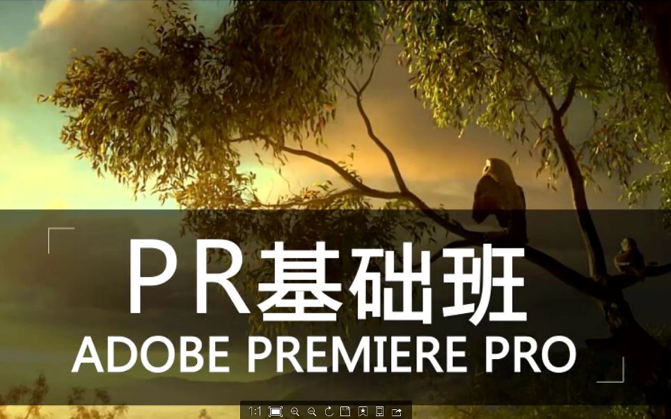 Premiere Pro cc:Pr剪辑软件第九课-源窗口认识
