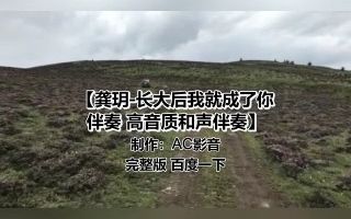 [图]龚玥-长大后我就成了你 伴奏 高音质和声伴奏