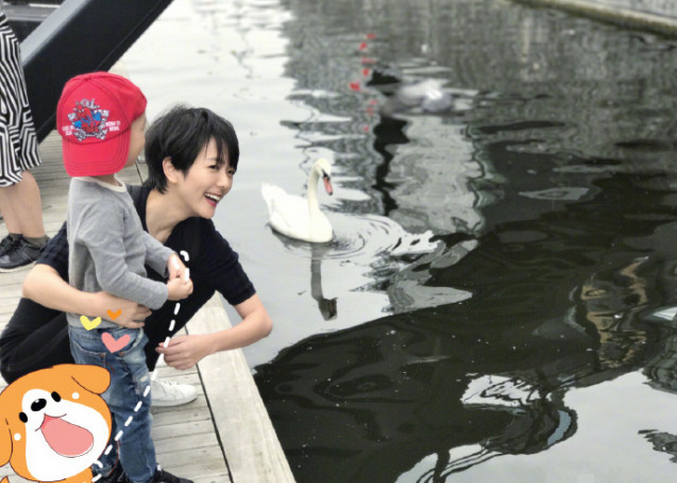 汪涵妻子杨乐乐晒儿子近照 小沐沐长大了更帅气