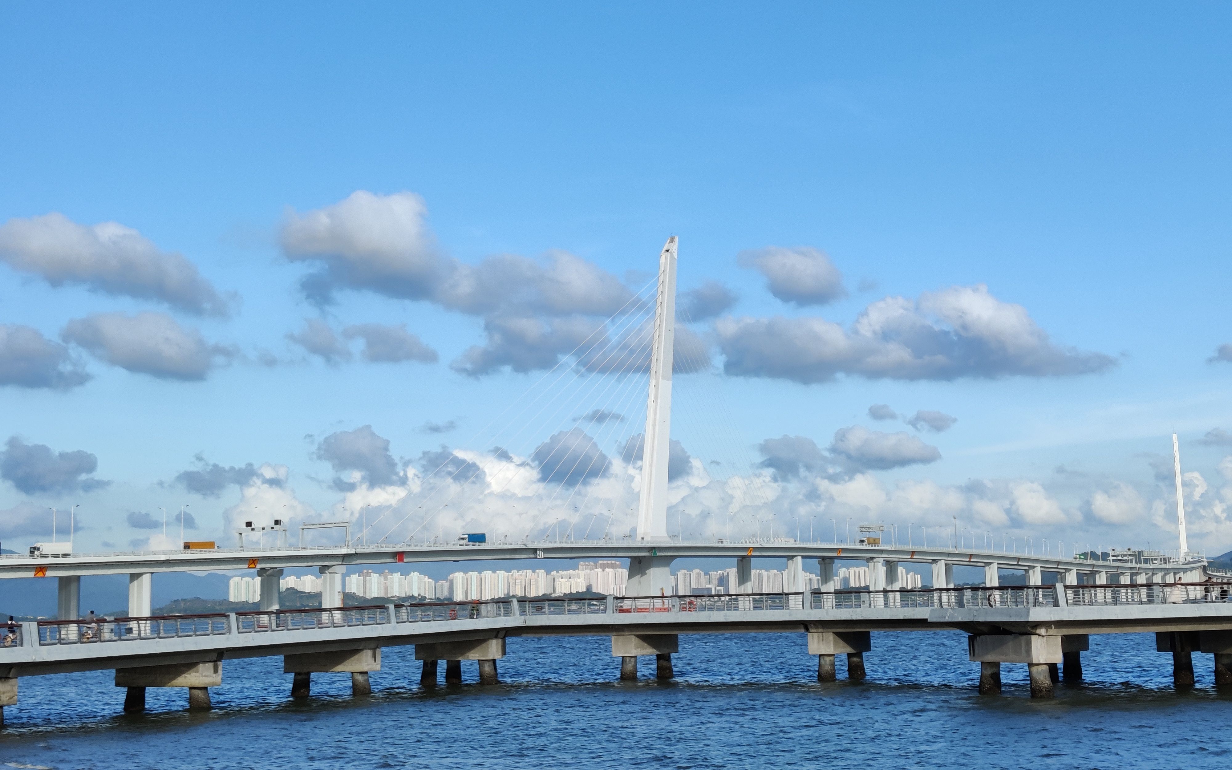 深圳湾公园骑行-晴空万朗的好天气