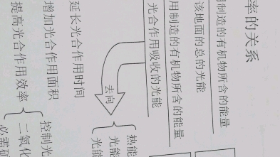 第五节 光能利用率和光合作用效率的关系.哔哩哔哩bilibili