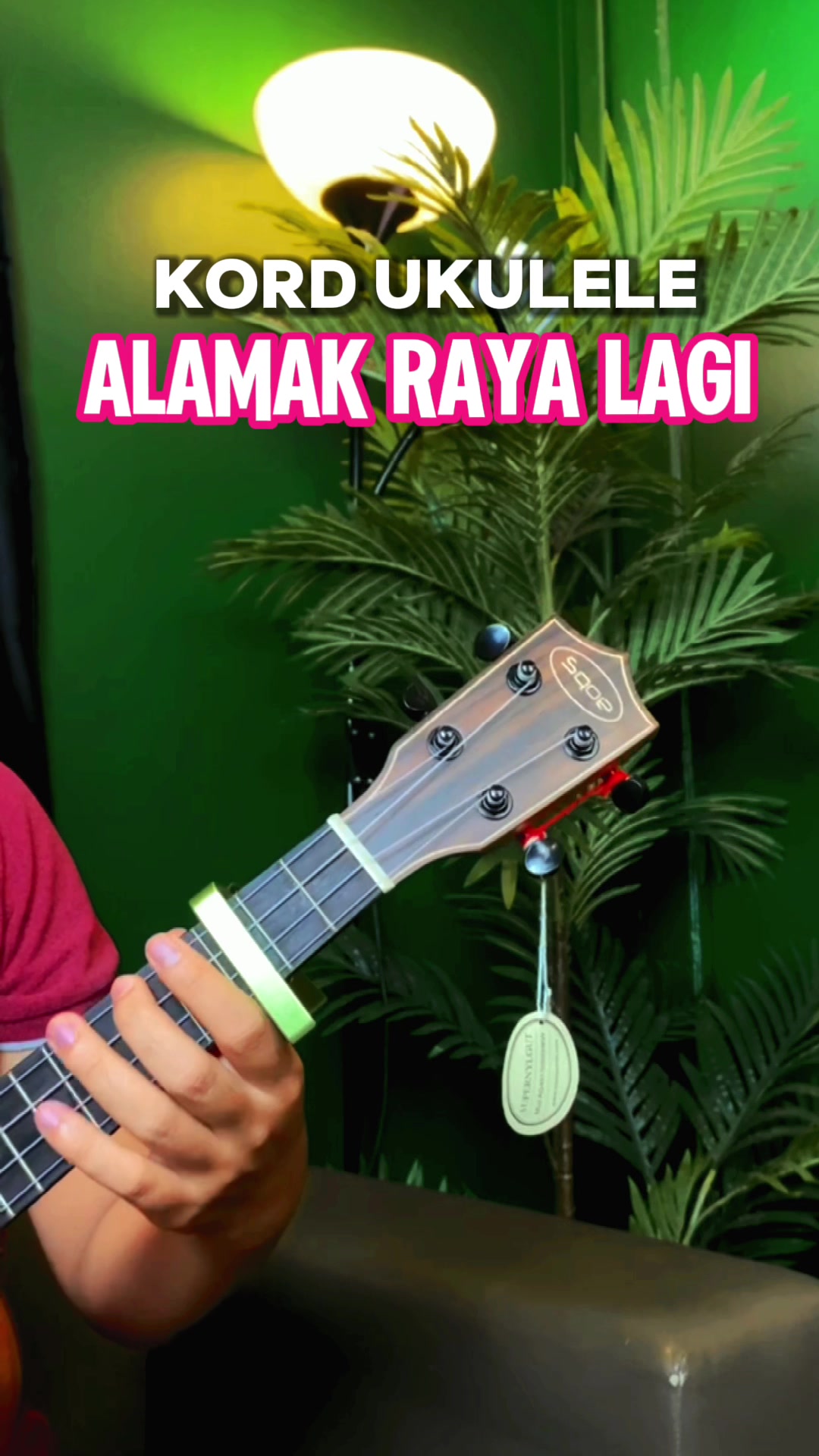 Jom尝试干扰四弦琴lagu Alamak Raya Lagi哔哩哔哩bilibili