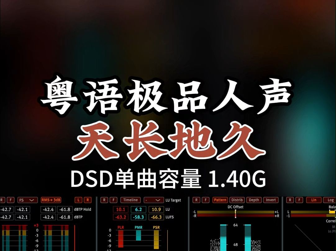 经典粤语歌,极品发烧女声,《天长地久》DSD完整版1.40G,百万调音师专业录音棚制作,顶级hifi无损音质哔哩哔哩bilibili