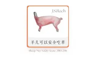 Download Video: 羊儿可以安全吃草  BWV 208 J .S .Bach