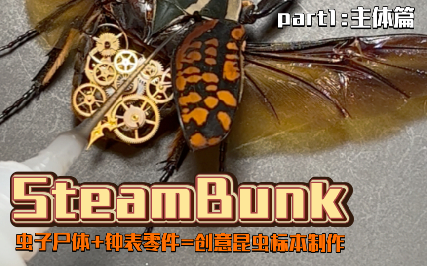 SteamBunk ! 创意昆虫标本制作 part1 !哔哩哔哩bilibili