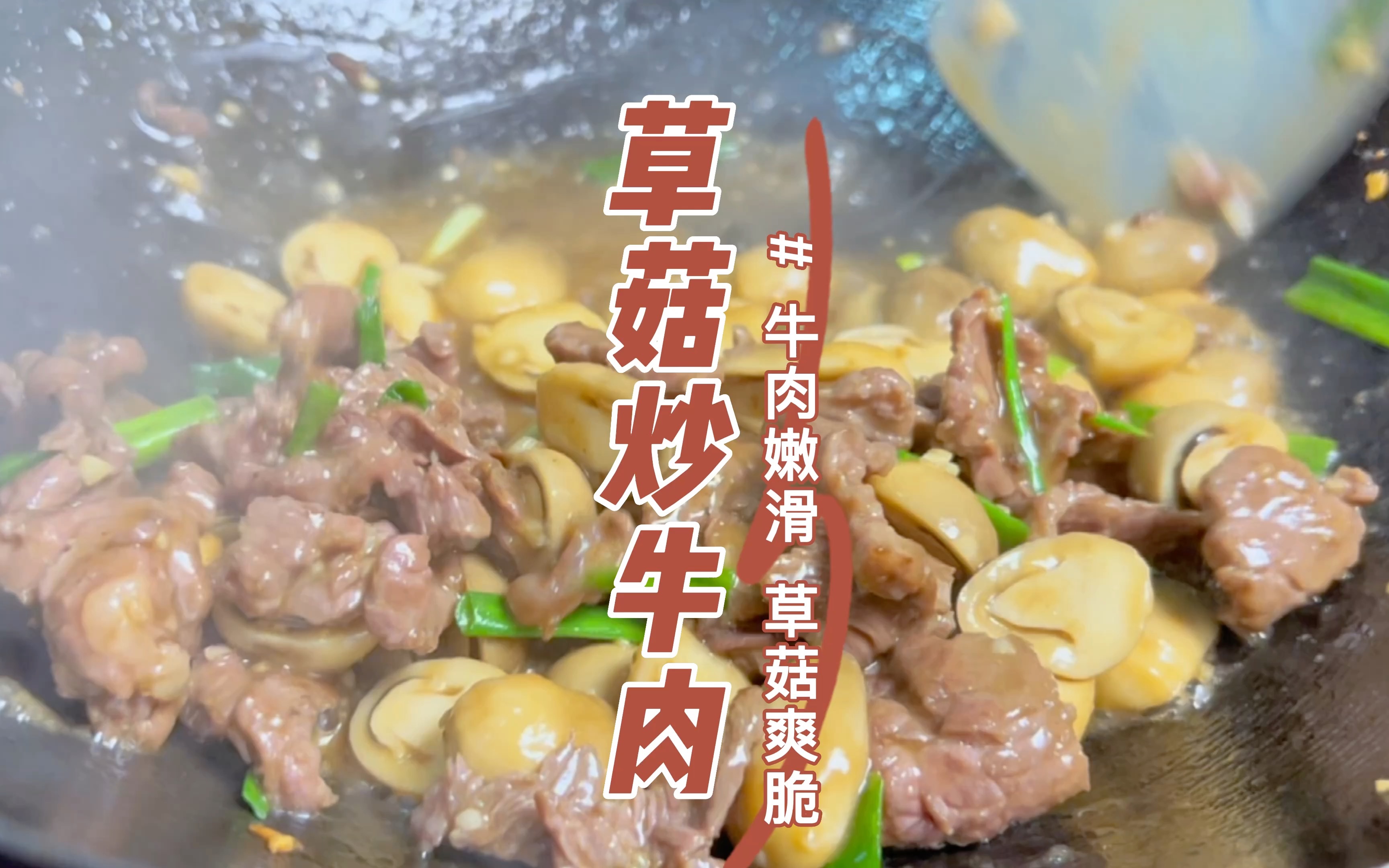 草菇炒牛肉哔哩哔哩bilibili