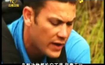 自然密码20101120外敌入侵哔哩哔哩bilibili