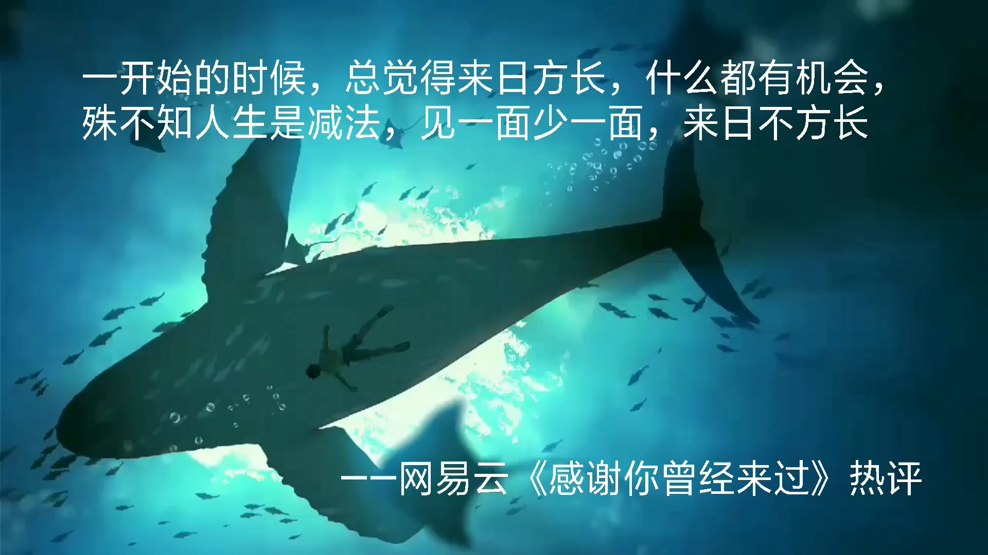 网易云音乐热评里面的"正能量"