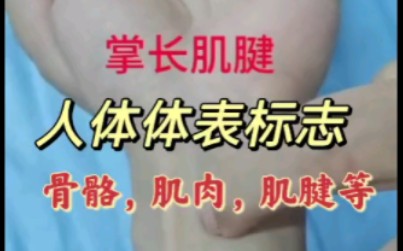 必学人体体表标志(骨骼,肌肉,肌腱等)涂老师哔哩哔哩bilibili