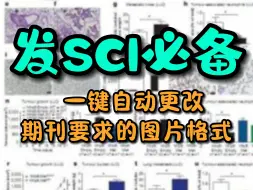 Download Video: 谁发SCI还在手动调整图片格式啊？ 教你一键更改期刊要求格式~嘎嘎提效 快码住学起来！