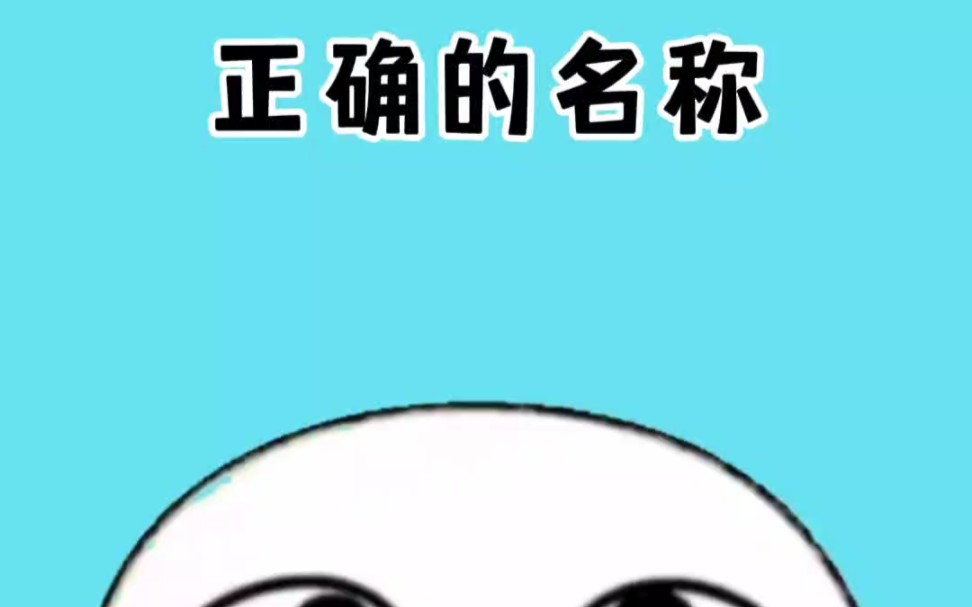 生活中这些东西的名字你都叫对了吗#涨知识哔哩哔哩bilibili