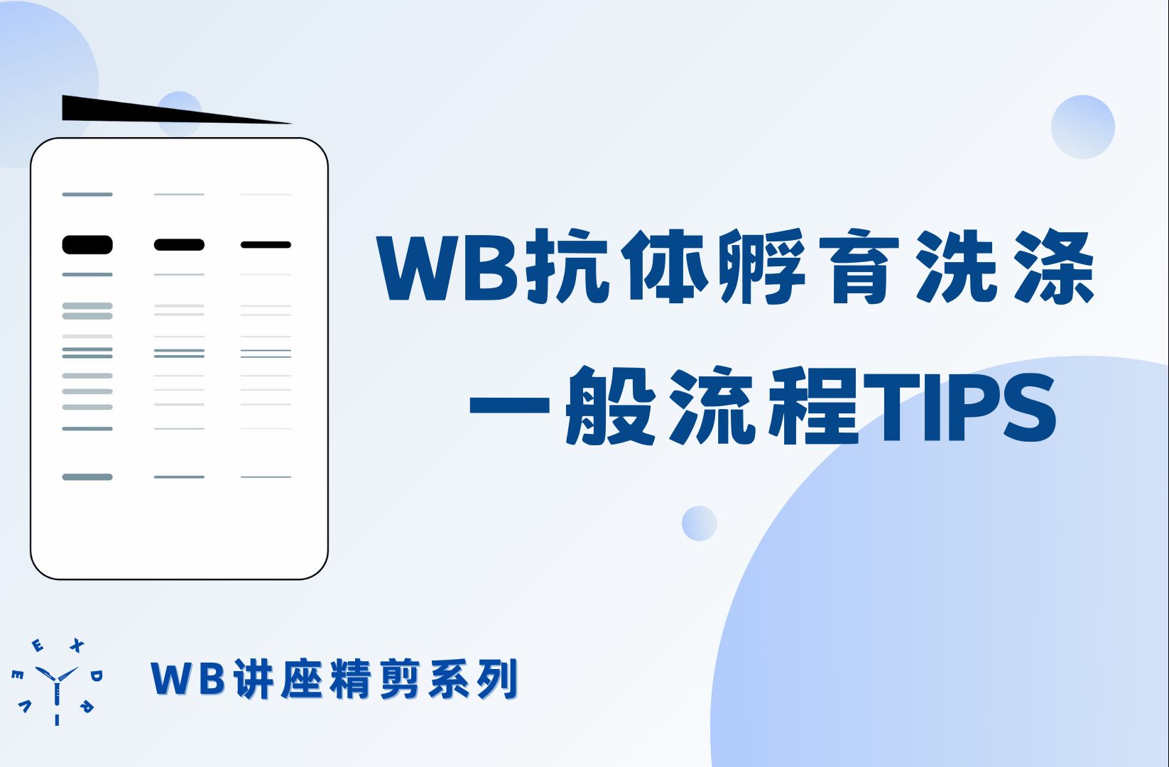 【WB讲座CUT】WB抗体孵育洗涤一般流程TIPS哔哩哔哩bilibili