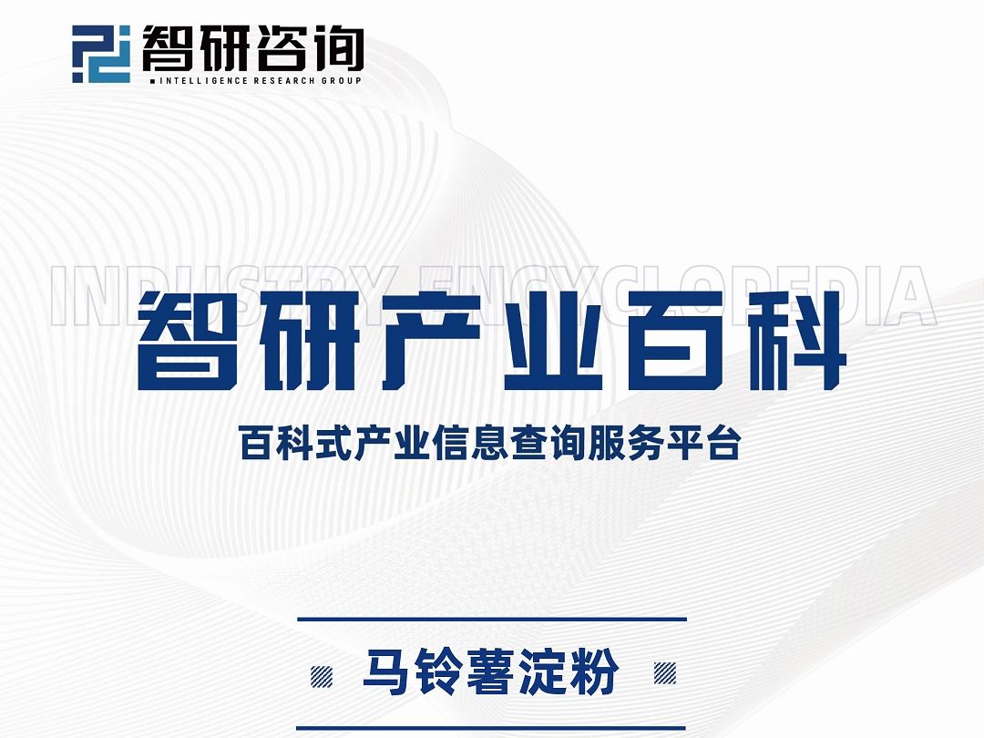 2024版中国马铃薯淀粉行业市场现状、进出口贸易分析及发展前景研究报告哔哩哔哩bilibili