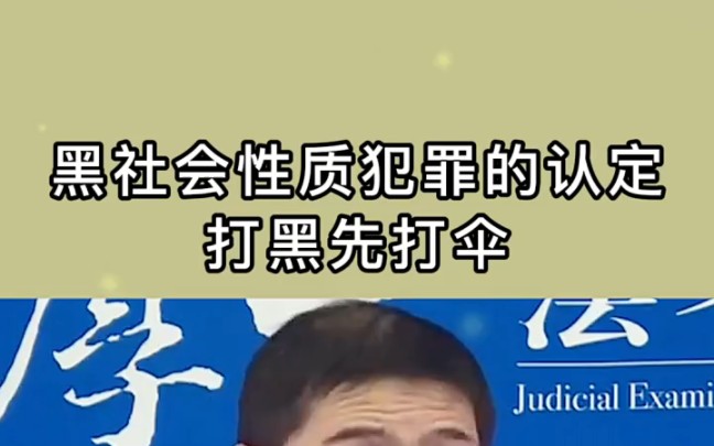 黑社会性质的认定,打黑先打伞 ＂罗翔说刑法 ＂罗翔 ＂扫黑除恶哔哩哔哩bilibili