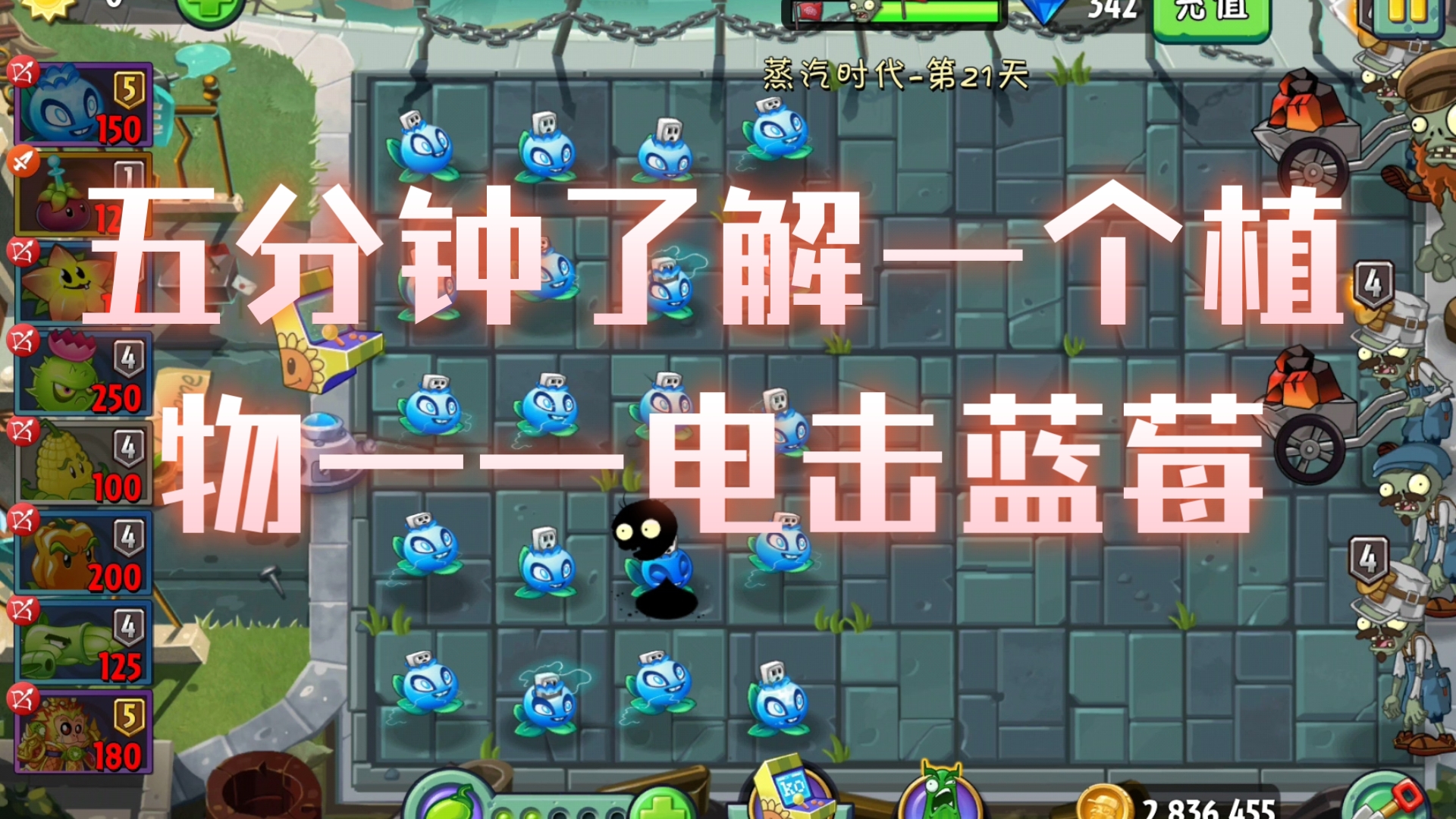 五分钟了解一个植物